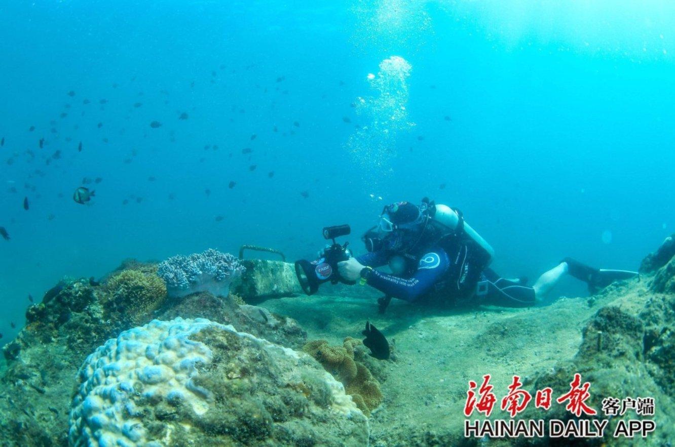 小魔仙的闺蜜装